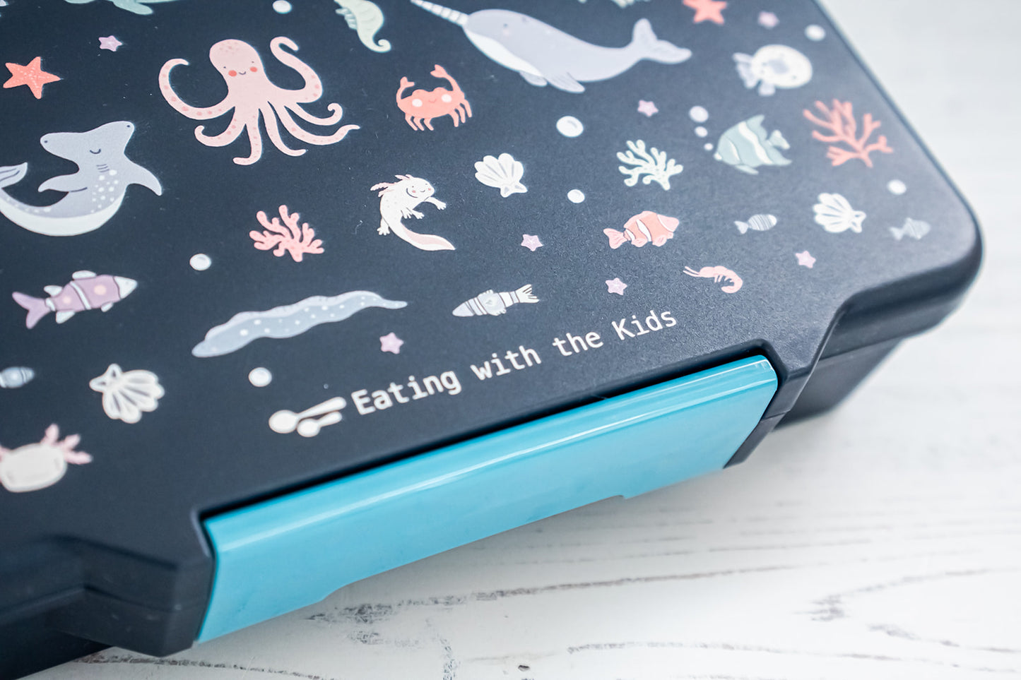 Kids Bento Lunchbox