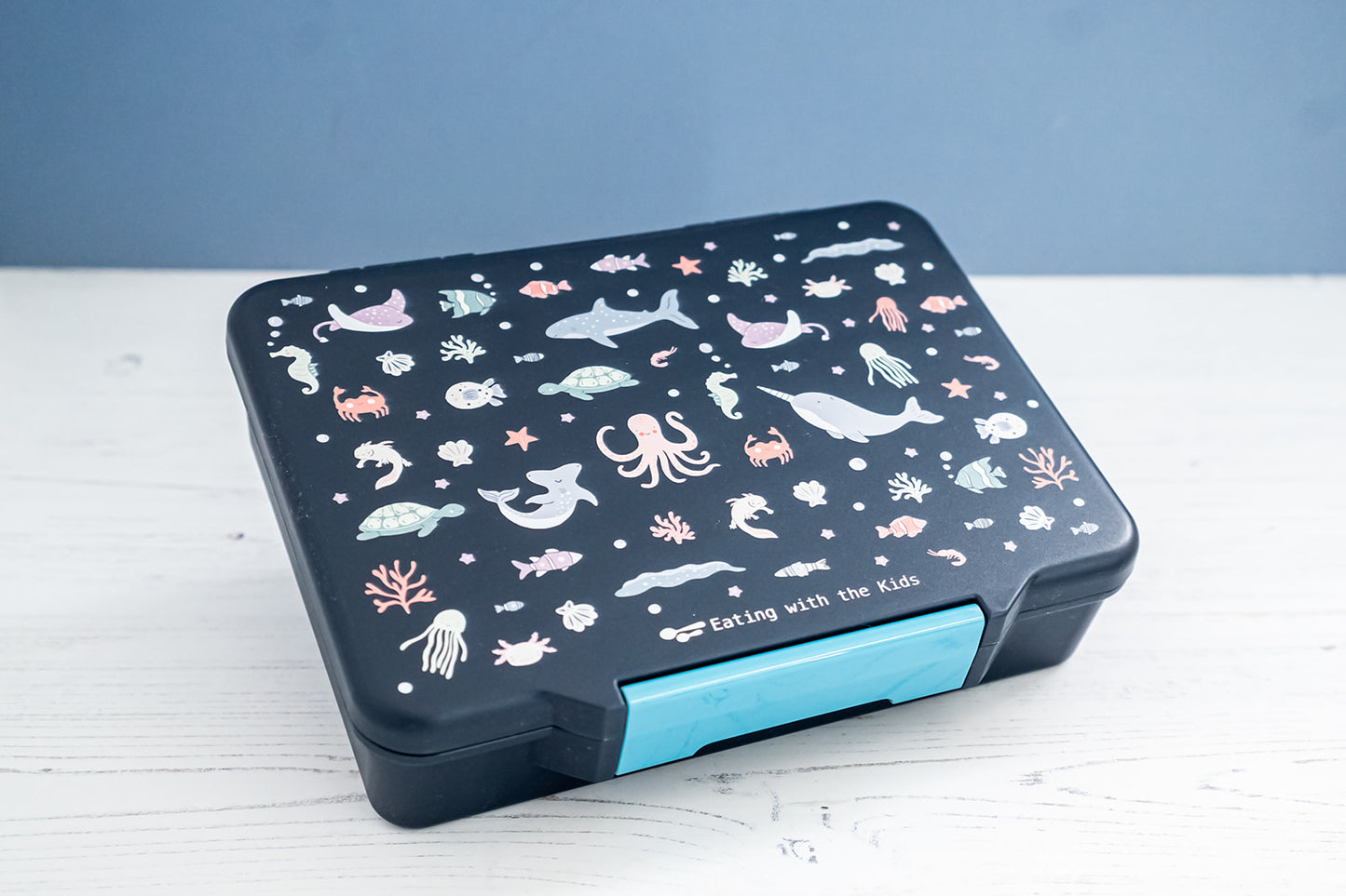 Kids Bento Lunchbox