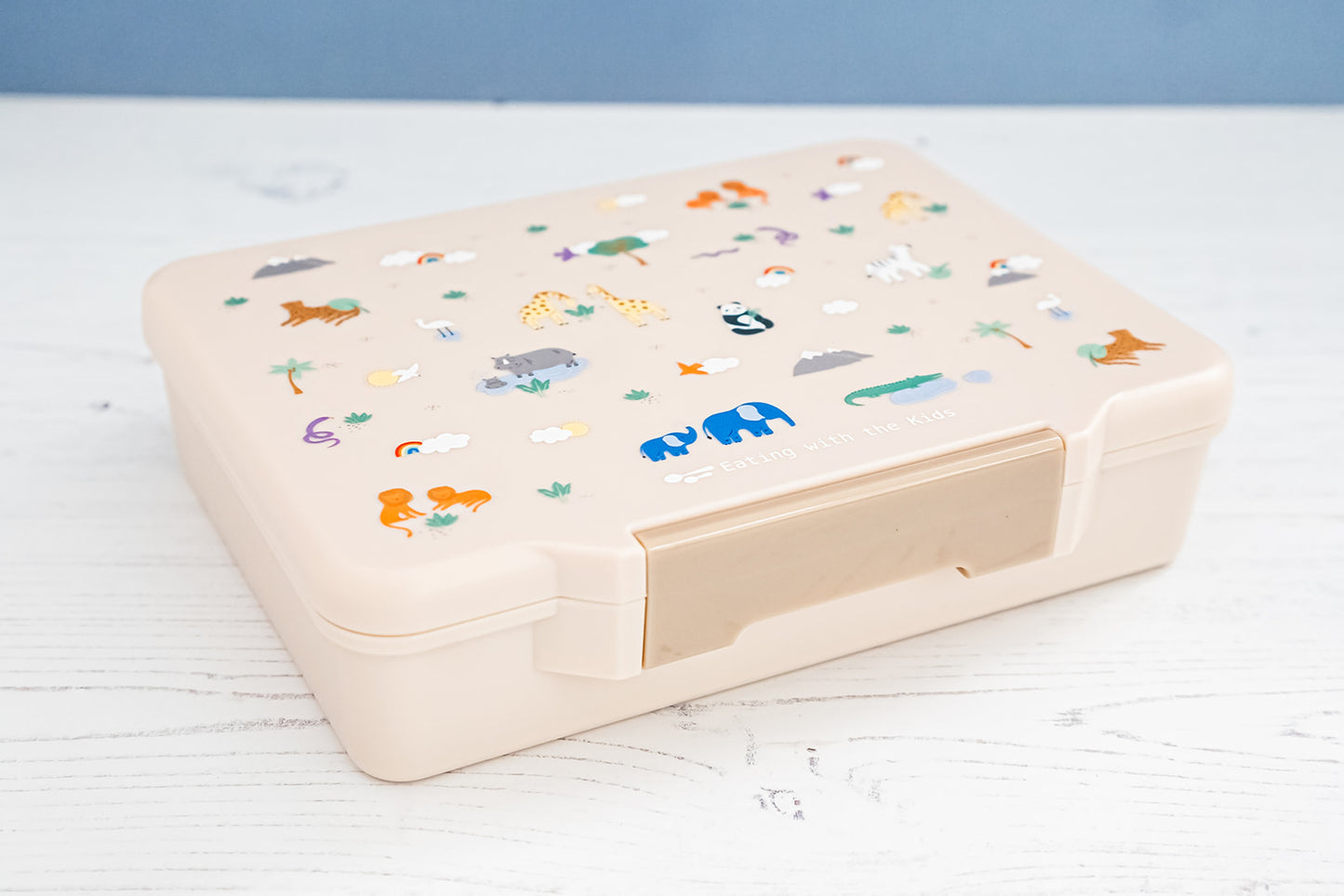 Kids Bento Lunchbox