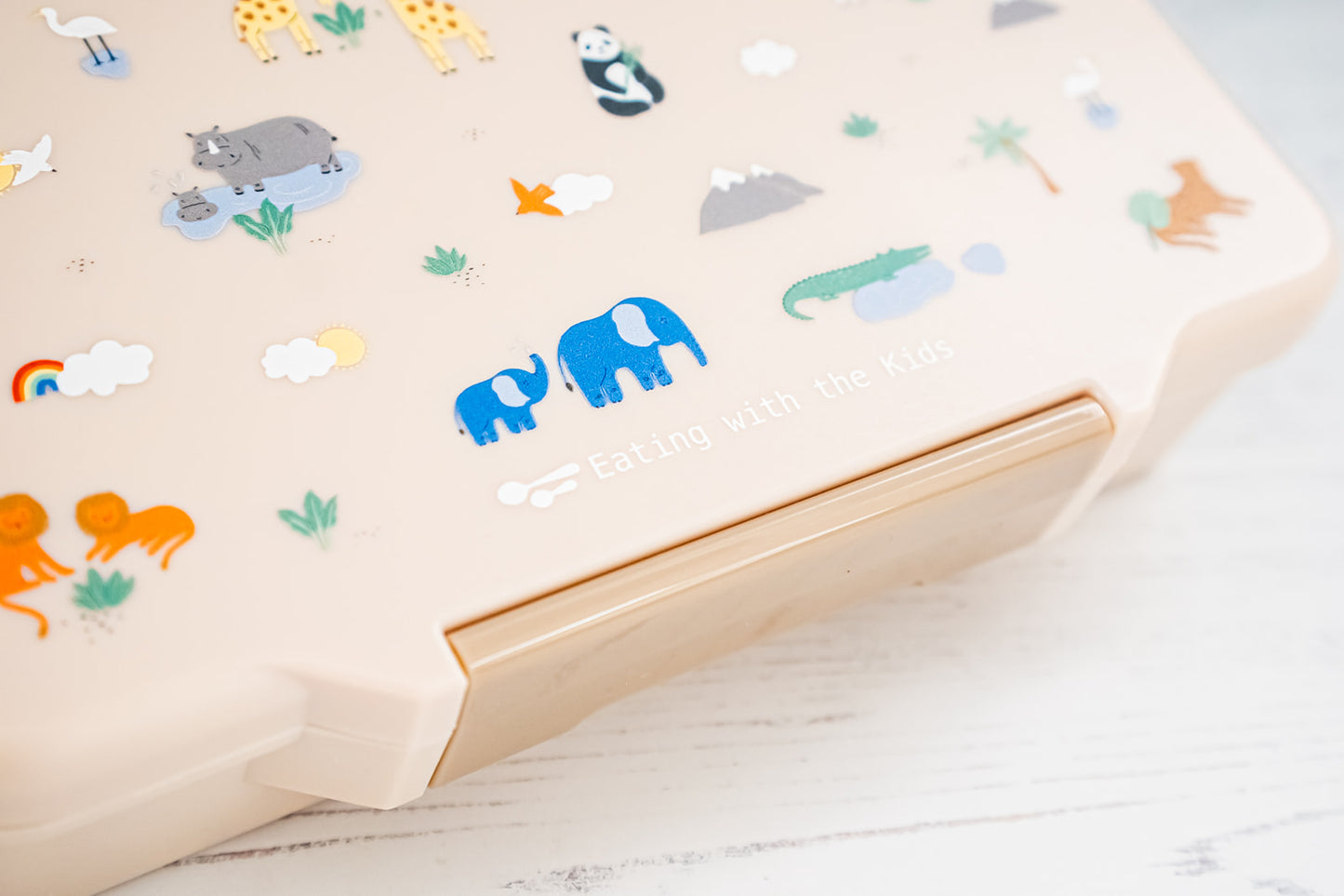 Kids Bento Lunchbox