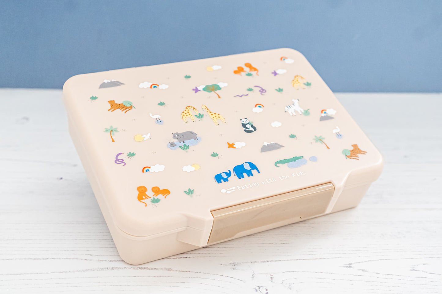 Kids Bento Lunchbox