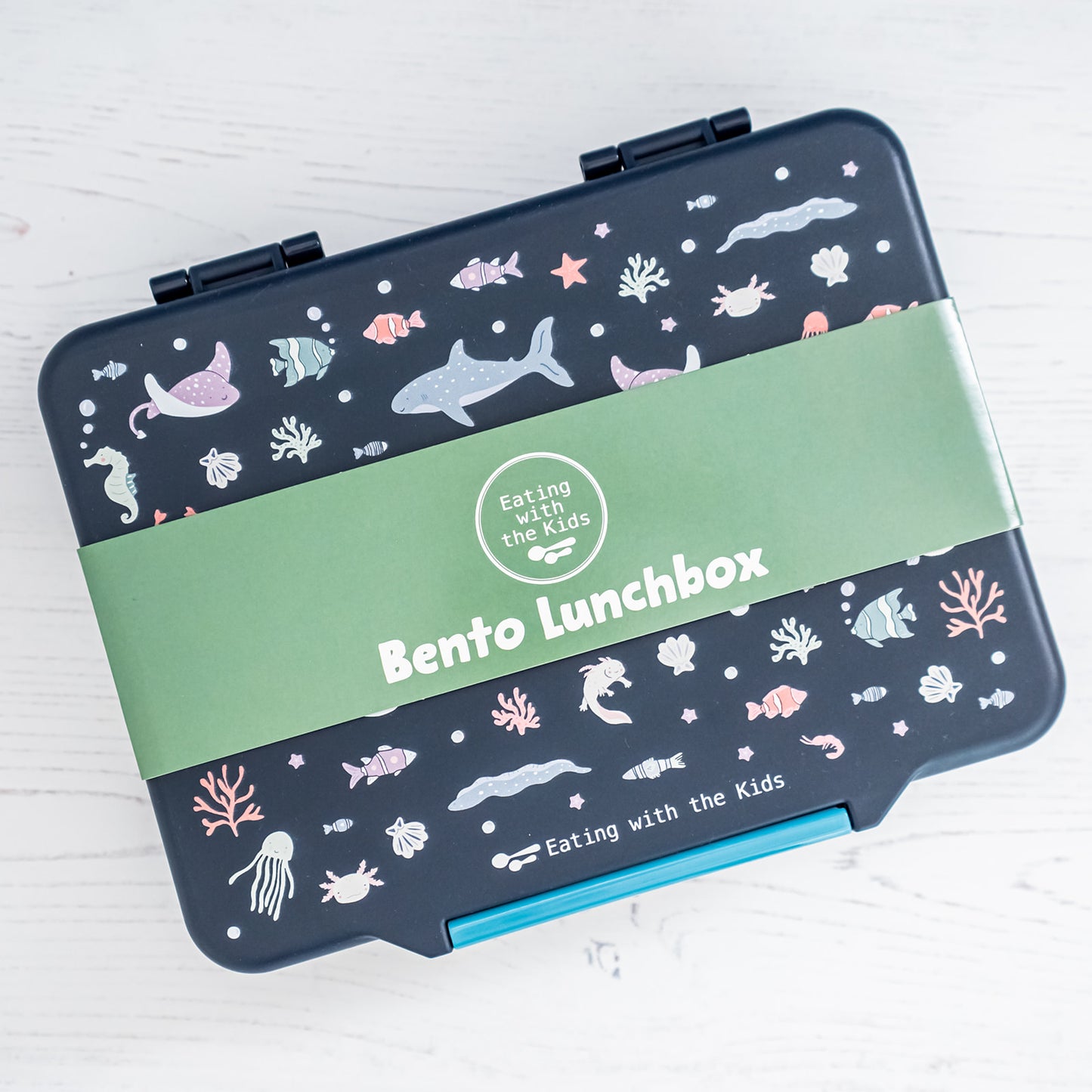 Kids Bento Lunchbox