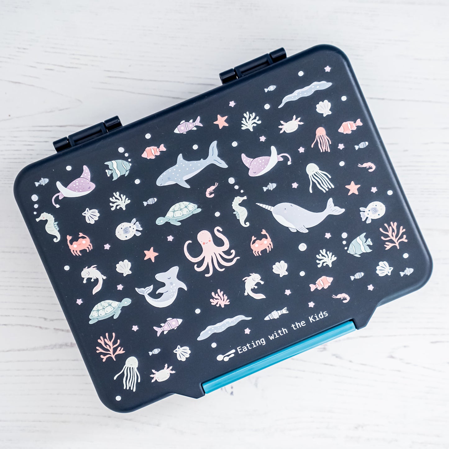 Kids Bento Lunchbox