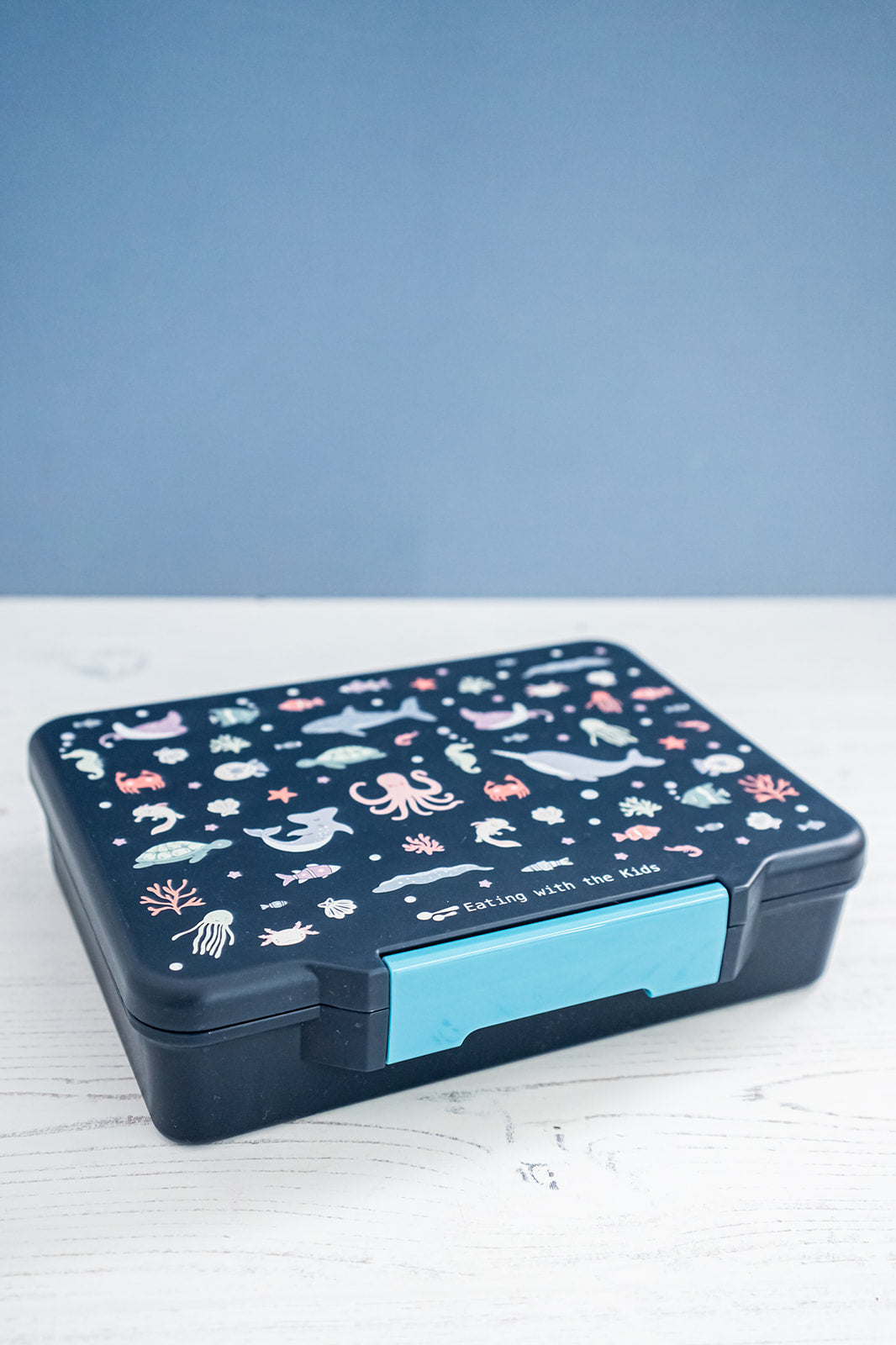 Kids Bento Lunchbox