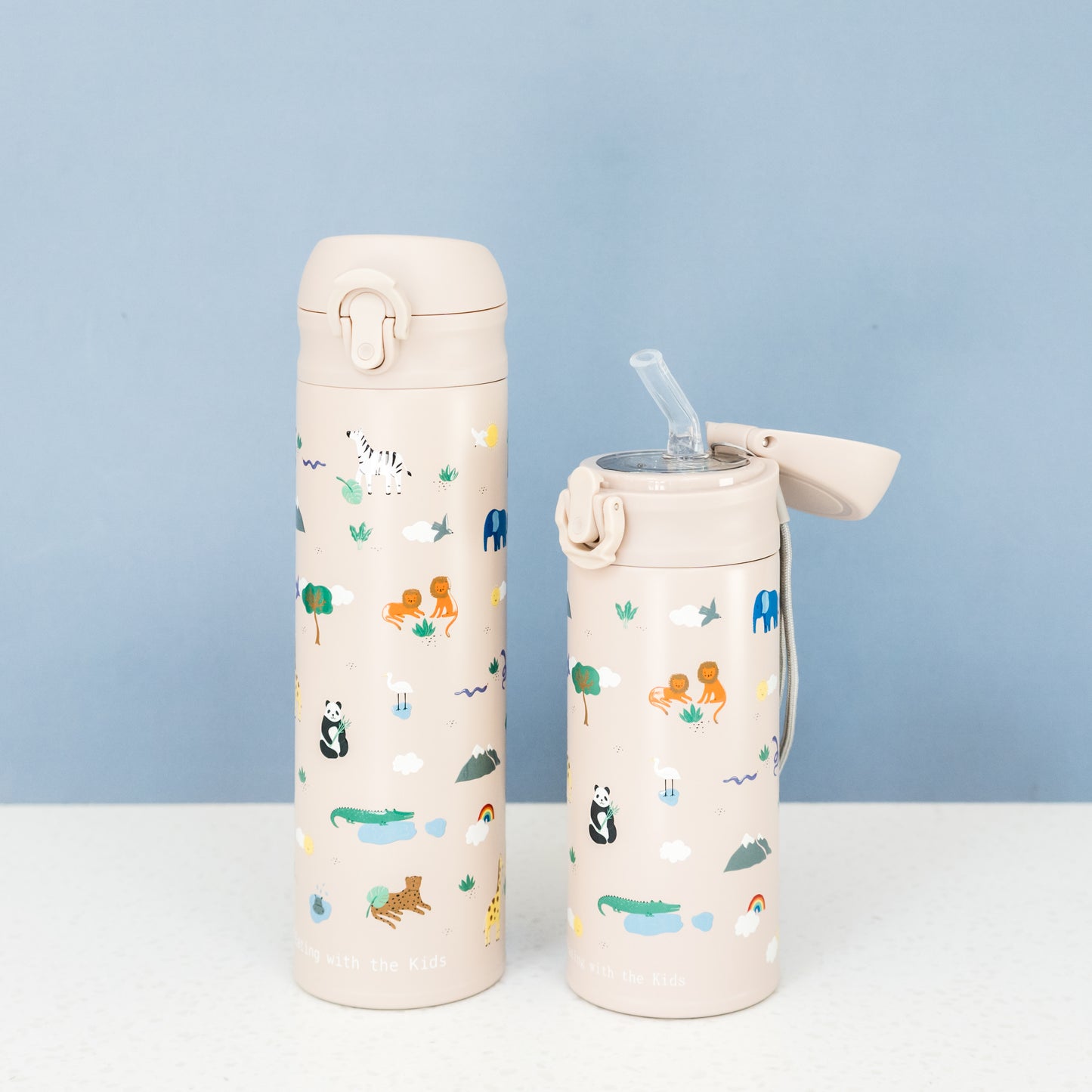 Kids 500ml Stainless Steel Water Bottle (4+)