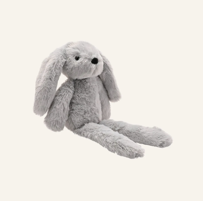 Theo the Bunny