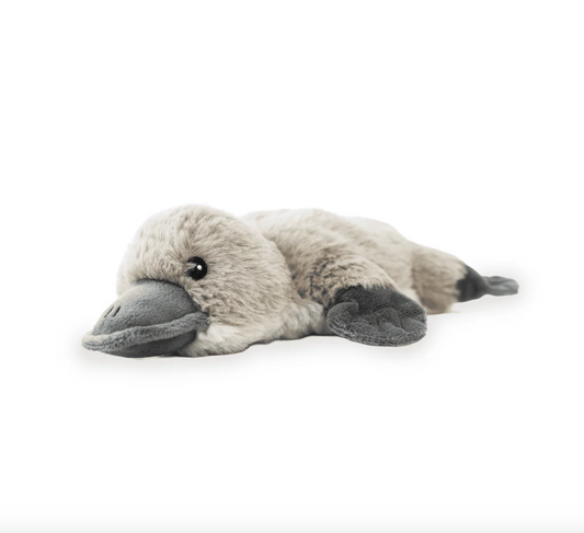 Mini Warmies Platypus