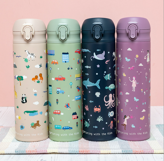 500ml Stainless Steel Water Bottle