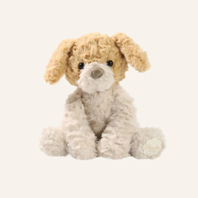 Charlie the Dog