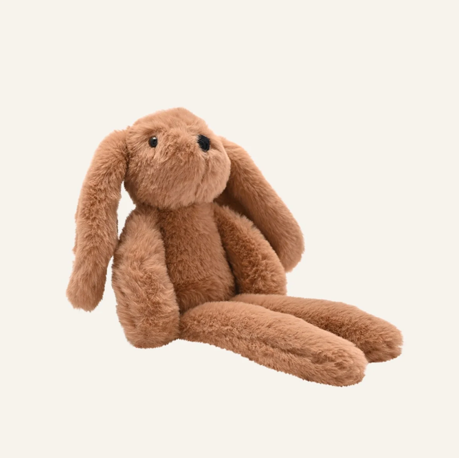 Cookie the Bunny