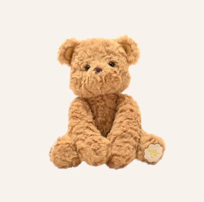 William the Teddy Bear