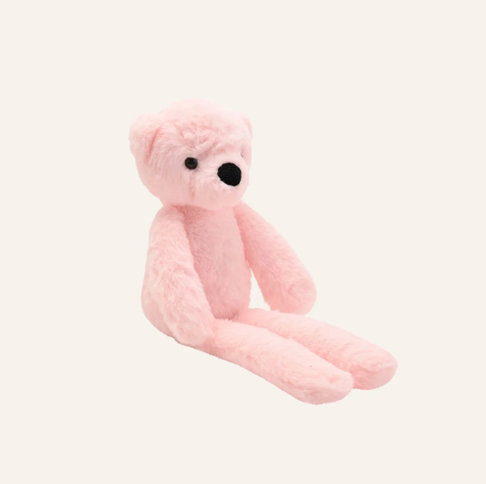 Willow the Bear