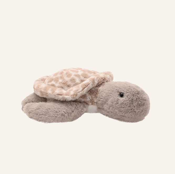 Toby the Turtle