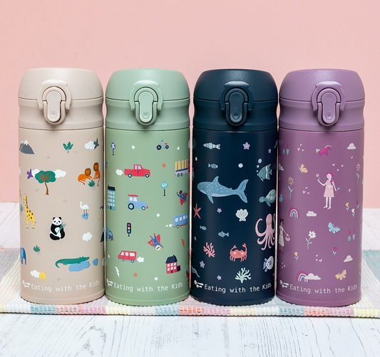 350ml Stainless Steel Water Bottle